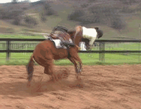 Horse back riding GIF - Conseguir el mejor gif en GIFER