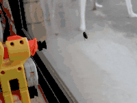 d4bbea7224b1029f33951eb0b8bdfcf6_w200.gif