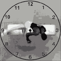 Time GIFs - Get the best gif on GIFER