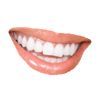 Teeth GIFs - Get the best gif on GIFER
