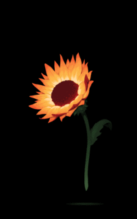 Sunflower GIFs - Get the best gif on GIFER
