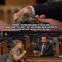 Robert Irwin Gifs Get The Best Gif On Gifer