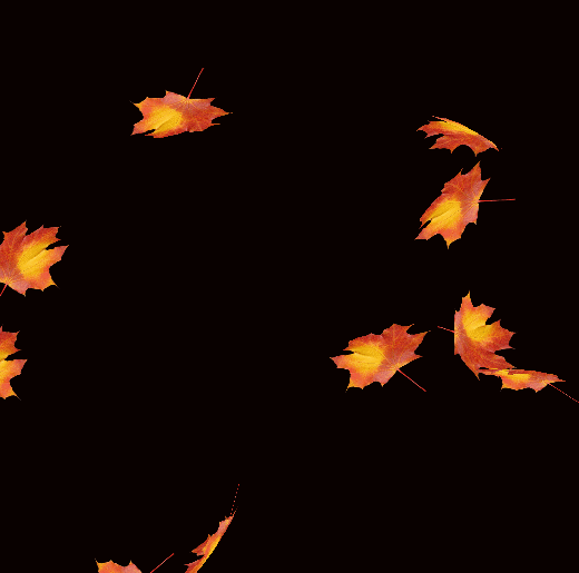 Leaves falling GIFs - Get the best gif on GIFER