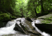 Insight GIFs - Get the best gif on GIFER