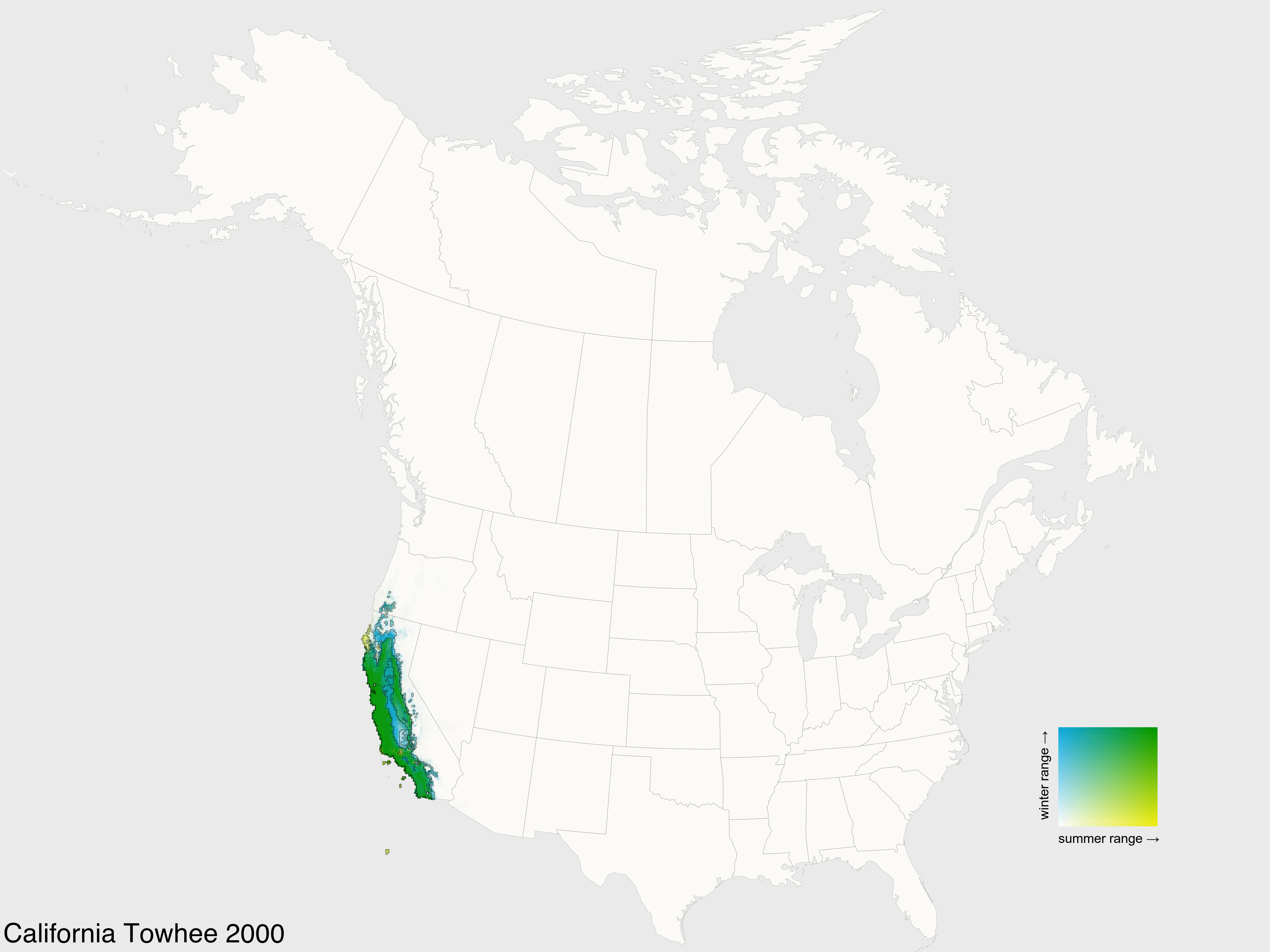 California towhee GIFs Get the best gif on GIFER
