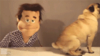 Puppets GIFs - Get the best gif on GIFER
