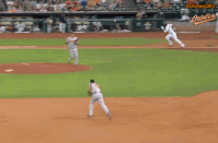 Orioles GIFs - Get the best gif on GIFER