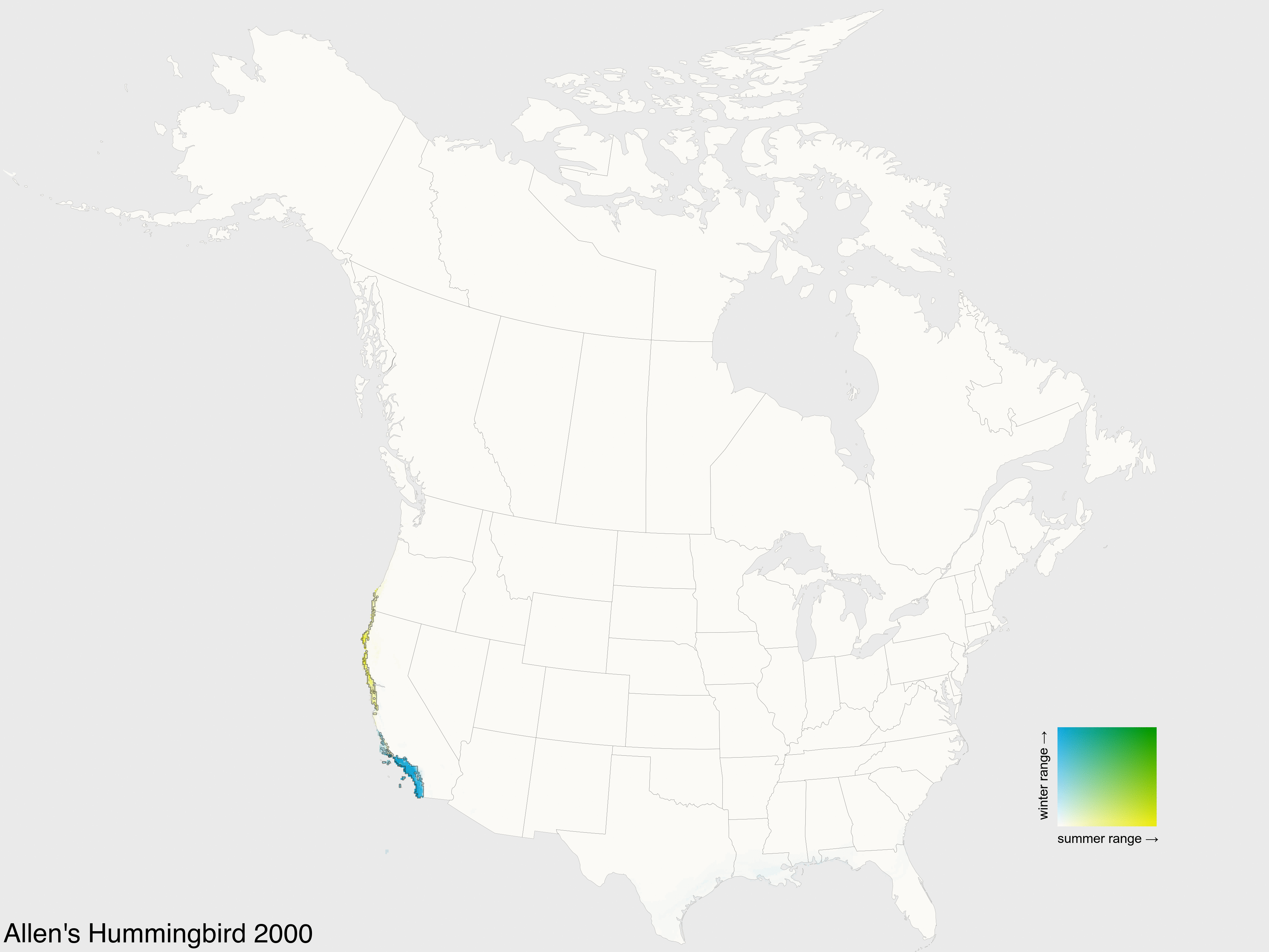 Allens hummingbird GIF - Conseguir o melhor gif em GIFER