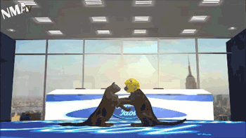 Minor differences GIFs - Obtenez le meilleur gif sur GIFER