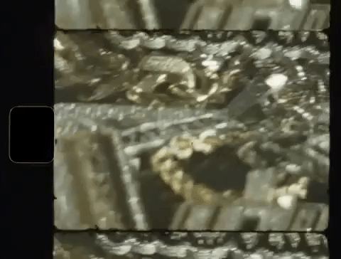 31days GIFs - Get the best gif on GIFER