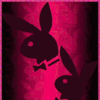 playboy-gifs-get-the-best-gif-on-gifer
