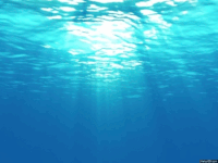 Underwater GIFs - Get the best gif on GIFER