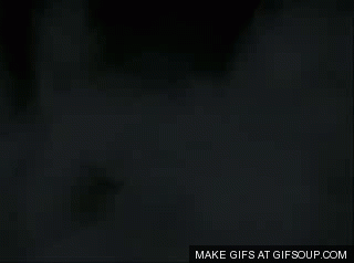 Fog GIFs - Get the best gif on GIFER