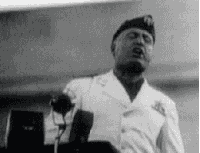 e8439e4c535e0a1b9321362983779bf1_w200.gif