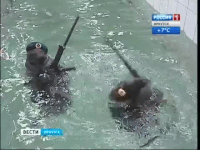 Swap GIFs - Get the best gif on GIFER