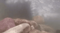 Extraordinary GIFs - Get the best gif on GIFER