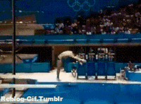 Participation GIFs - Get the best gif on GIFER