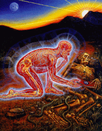 Hat tip to alex grey GIF - Conseguir o melhor gif em GIFER