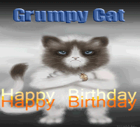 lil bub grumpy cat gif