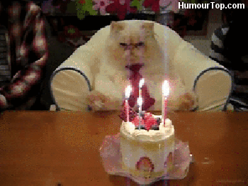 Anniversaires Gifs Get The Best Gif On Gifer