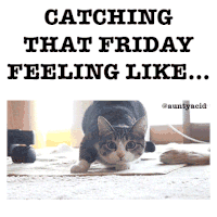 Happy Friday GIFs - The Best GIF Collections Are On GIFSEC