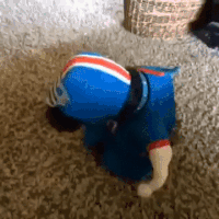Get Rekt M8 Gif