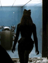 Catwoman GIFs - Get the best gif on GIFER