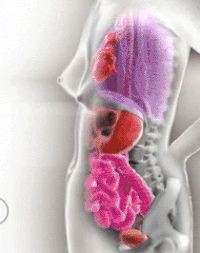 f67fddc3dd0480c22c33f1cf4ecce642_w200.gif