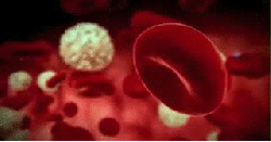 Vessel GIFs - Get the best gif on GIFER