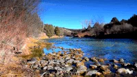 image here