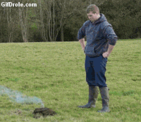 fa814648933879c07d60014b03393e4a_w200.gi