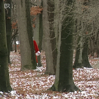 Nikolausi гифки, анимированные GIF изображения nikolausi - скачать гиф ...