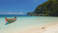 Thailand GIFs - Get the best gif on GIFER