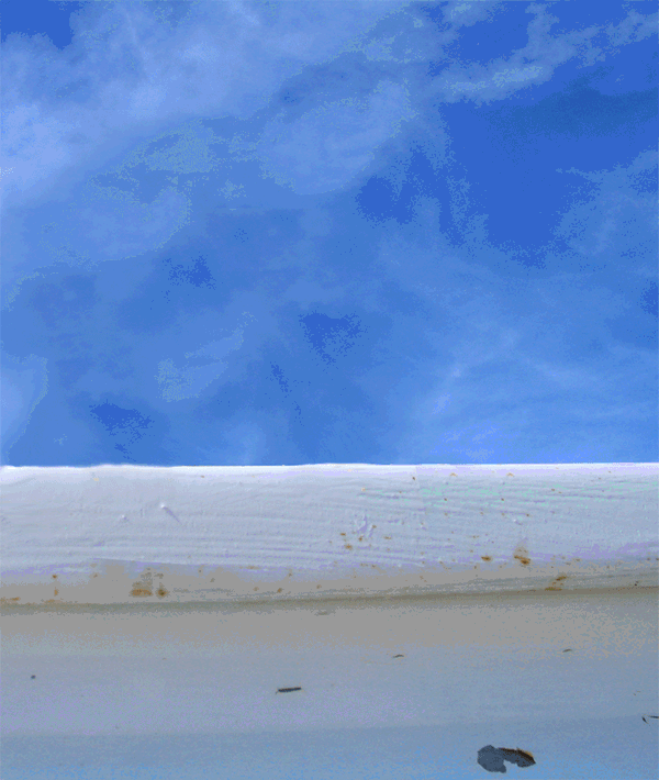 Affscrubs GIFs Get the best gif on GIFER