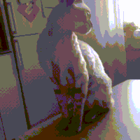 Offence GIFs - Get the best gif on GIFER