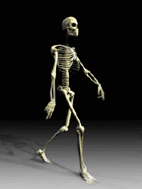 Twerking Skelett GIF
