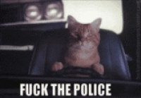 Fuck-the-police GIFs - Get the best GIF on GIPHY
