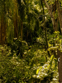 Arte Art GIF - Arte Art Earthday GIFs