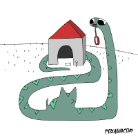 Python GIFs - Get the best gif on GIFER