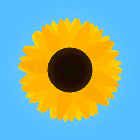 GIF sunflower summer sun - animated GIF on GIFER - by Magar