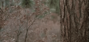 Gif Red Dawn Patrick Swayze 80er Animated Gif On Gifer By Gafyn