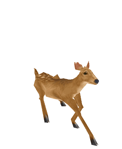 Deer GIFs - Get the best gif on GIFER
