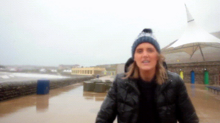 zgy.gif