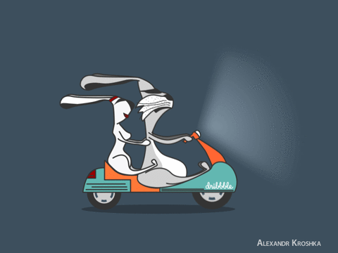 Motorcycle rabbit motorbike GIF on GIFER - by Redblade